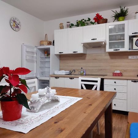 Apartman Pod Bozim Darem Jachymov Εξωτερικό φωτογραφία