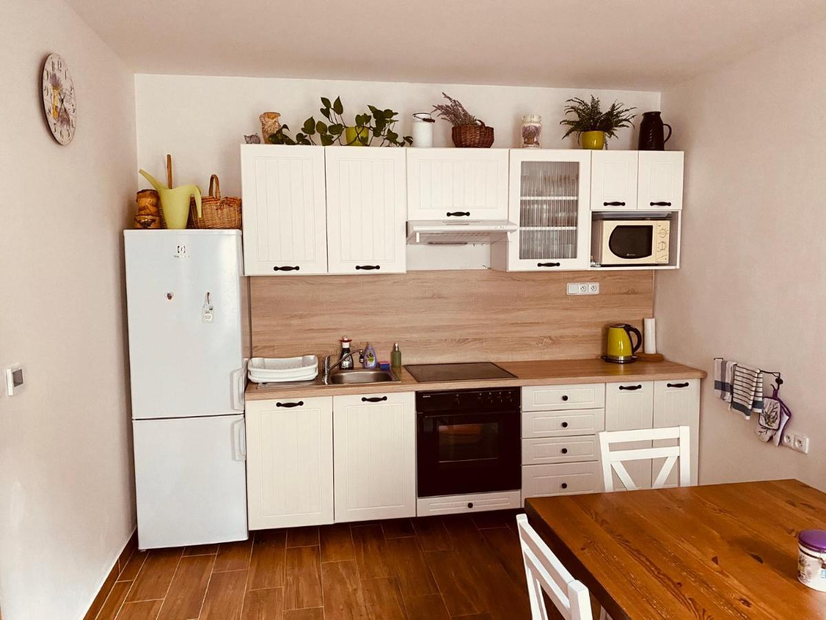 Apartman Pod Bozim Darem Jachymov Εξωτερικό φωτογραφία