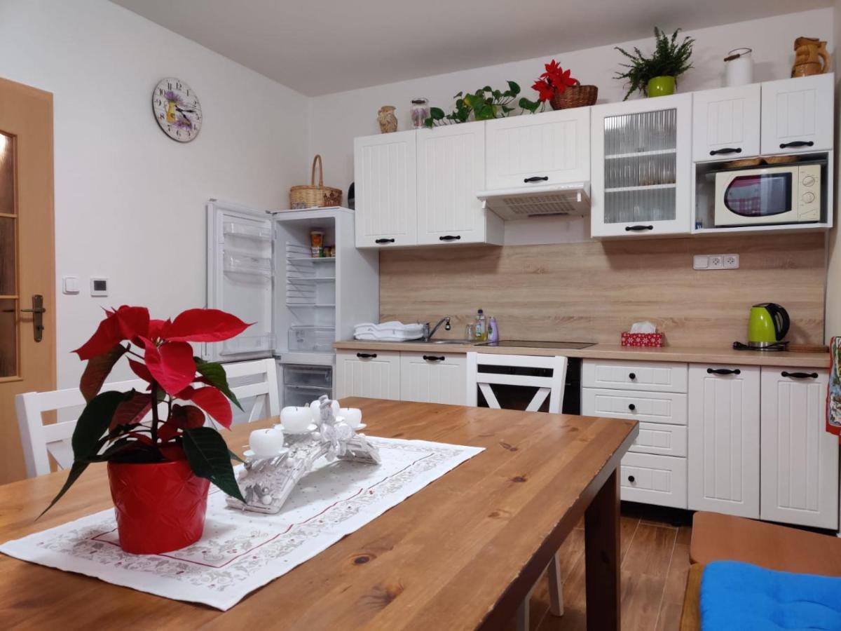 Apartman Pod Bozim Darem Jachymov Εξωτερικό φωτογραφία